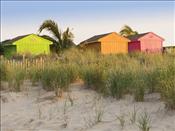 AK - Colors on Beach